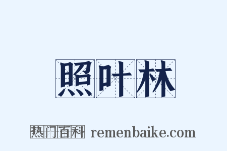 照叶林是什么意思的图片